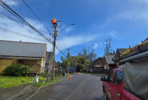 En Valdivia: Saesa refuerza la red eléctrica de los sectores Las Gaviotas y Bosque Sur para entregar un servicio continuo y de calidad