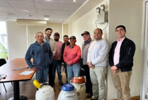 En Máfil inician el plan regional de mejoramiento genético bovino